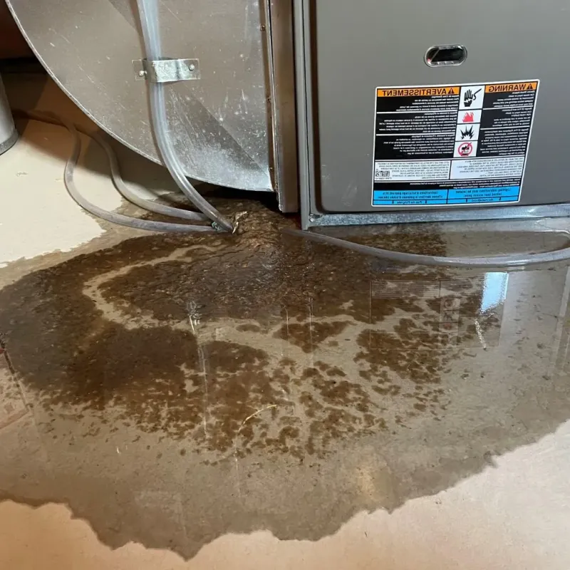 Pipe Burst and Leak Restoration in Lavaca, AR