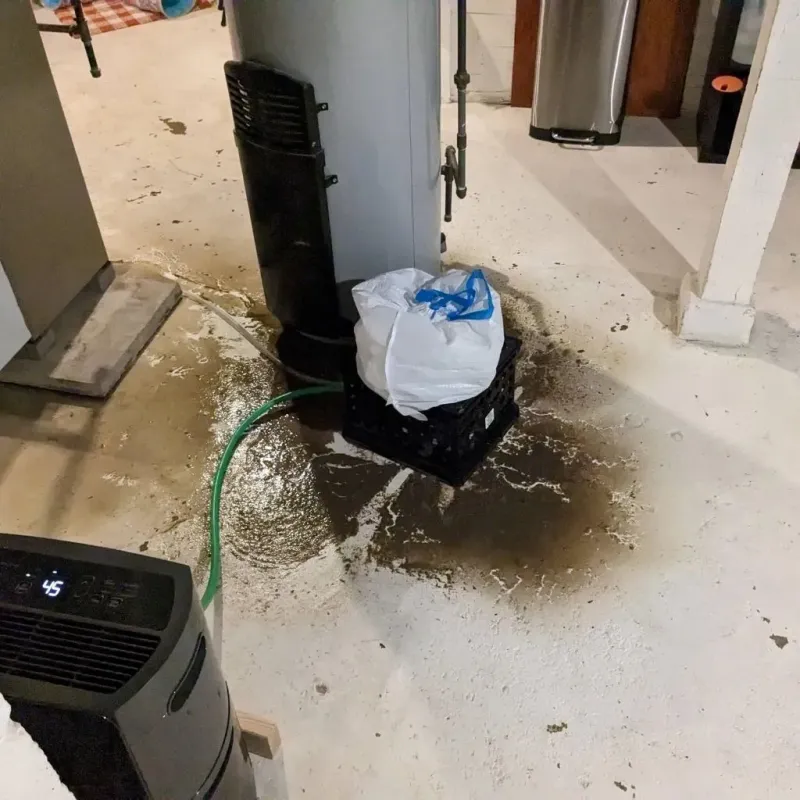 Sewage Backup Cleanup Service in Lavaca, AR